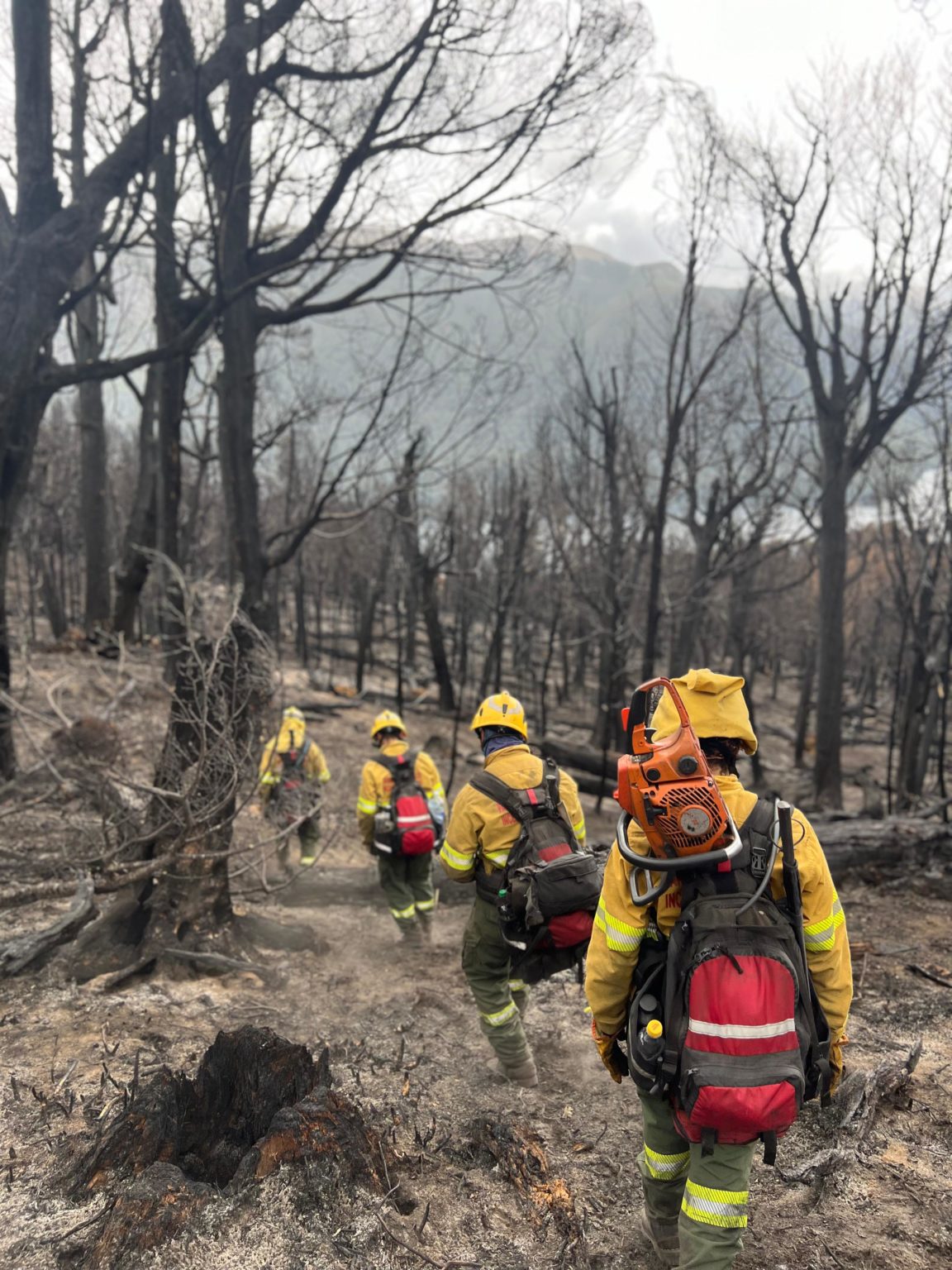 Brigadistas del Parque Nacional en pleno trabajo.