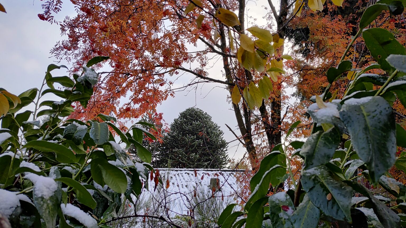 Pronósitico de nieve y fuertes vientos para este viernes