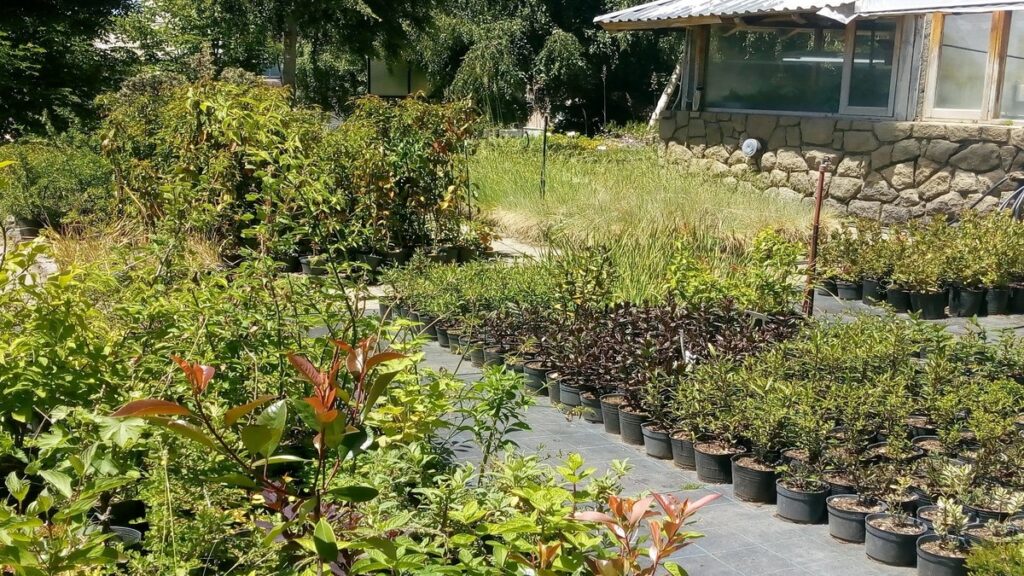Cómo participar del encuentro por la semana de la conciencia ambiental